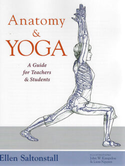 Anatomy and Yoga