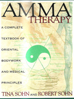 Amma Therapy