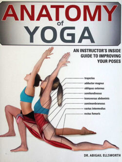 Anatomy of Yoga