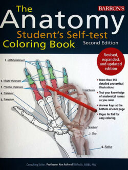 Anatomy Students Selftest Coloring bk