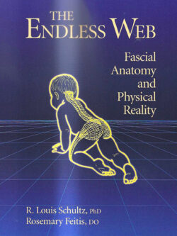 Endless Web, The