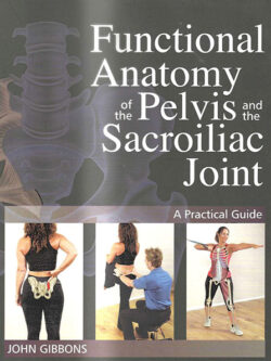 Functional Anatomy of the Pelvis & the sacroiliac joint