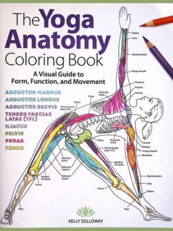 Yoga Anatomy Coloring Book, The