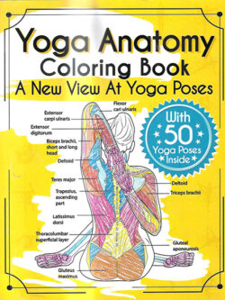 Yoga Anatomy Coloring Book
