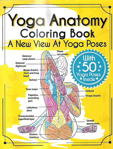 Yoga Anatomy Coloring Book